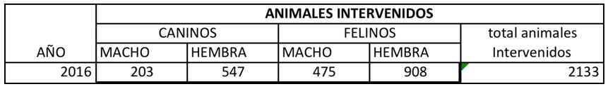 Animales Intervenidos.JPG